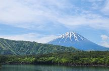 Mystical Fuji Forest Guide Running Trip (Shoe Rental Included)