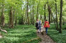 Ridgeview and Artelium Estate Private Walking Tour