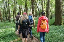 Ridgeview and Artelium Estate Private Walking Tour