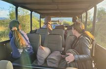 3 Day Pilanesberg Tlou Tented Safari Camp (En-Suite)