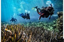 Mallorca PRIVATE Reservation*Scuba dive + photo/video