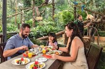 Breakfast In the Wild at Singapore Zoo Promo