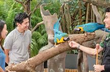 Breakfast In the Wild at Singapore Zoo Promo