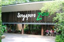 Breakfast In the Wild at Singapore Zoo Promo