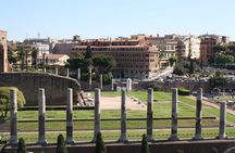 Small Group Tour of Colosseum, Forum, Palatine - all inclusive