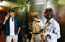 Authentic Piedmont wine tour with a local Sommelier