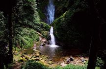 One Day Nyungwe Canopy walkway, Zipline and Ndambarare Waterfall