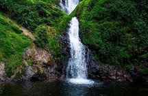 One Day Nyungwe Canopy walkway, Zipline and Ndambarare Waterfall