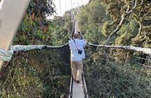 One Day Nyungwe Canopy walkway, Zipline and Ndambarare Waterfall
