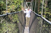 One Day Nyungwe Canopy walkway, Zipline and Ndambarare Waterfall