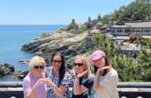 Perfect Private Busan Tour for Families, Couples, Friends, Solo 