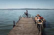 Valencia: Road to La Albufera Private Bike Tour