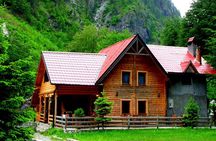 Cameron Highlands Tour From Kuala Lumpur (Special Deal)