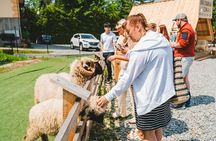 Krakow to Zakopane Tour with Cable Car and Thermal Baths 