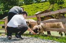 Krakow: Zakopane Day Trip with Funicular, Tasting & Thermal Baths