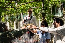 Rome to Pompeii Guided Tour with Wine & Lunch by High Speed Train