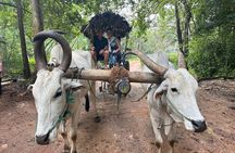 All of Sri Lanka within 10 Days