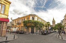 Batumi City Petra Castle and Botanical Garden Tour 