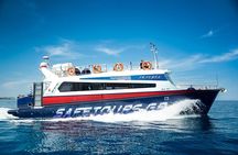 Dia Island Adventure Mythology Nature and Snorkeling Tour