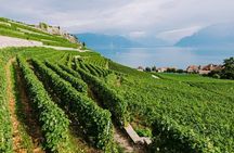 Half Day West Kelowna Wine Tours