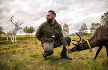 Sami Reindeer Experience