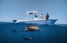 Turtle Canyon Snorkel Tour - Semi-private: 6 passenger max