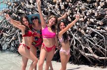  Explore the waters of Anna Maria Island on a private 3hr charter