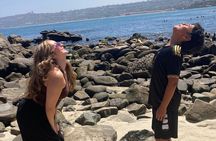 Creative Soul Scavenger Hunt of La Jolla Cove San Diego