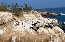 Creative Soul Scavenger Hunt of La Jolla Cove San Diego