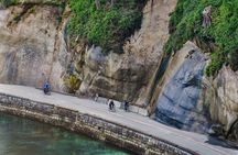 Spin & Grin: Private Bike Tour in Vancouver