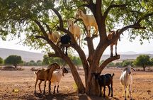 Private full day tour to Essaouira city from Marrakech