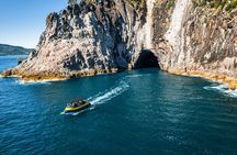 2 Hour Cathedral Cove and Volcanic Coast Cruise with Shade Canopy