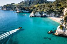 2 Hour Cathedral Cove and Volcanic Coast Cruise with Shade Canopy
