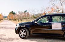 Hunter Valley Boutique Wine Tour with 3 Tastings