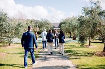 Hunter Valley Boutique Wine Tour with 3 Tastings