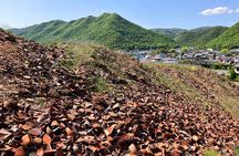 Bizen Pottery Walking Tour with Local Guide & Flexible Options