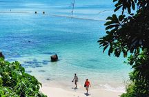 Hong Kong｜Hiking and Hidden Nature Gems Tour with Private Driver