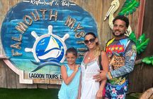 Excursions In Ocho Rios Jamaica from Hotels and Cruise Ship Ports