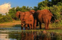 10 Days Overland Tour from Cape Town to Johannesburg