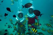 Koh Larn Coral Island Full Day Private Tour from Bangkok