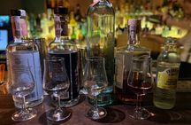 Polish Gin Tasting Tour