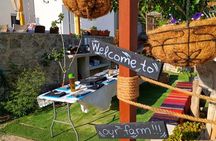 Cooking Class Sunset Dinner and Tour in Paros Farm 