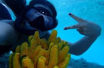 Marine Adventure Cruise Lefkada
