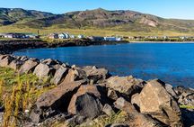 Puffins and Peaks: Explore the Borgarfjörður Eystri