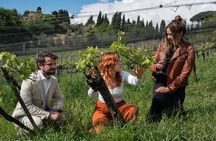 Siena: A Wine Tour and Tasting Experience 