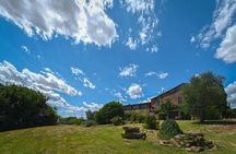 Siena: A Wine Tour and Tasting Experience 