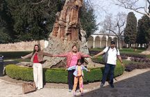 Topkapi,Hagia Sophia, Basilica Cistern Tour skip the ticket line 