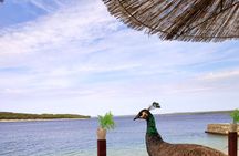 NP Brijuni Island Swimming & Dolphin Watching Sunset Cruise