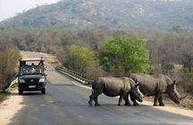 Tala Game Reserve Natal Lion Park & Phezulu Safari from Durban 