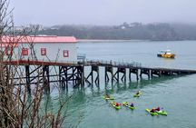 Guided kayaking trip exploring the secrets of the Tenby coastline